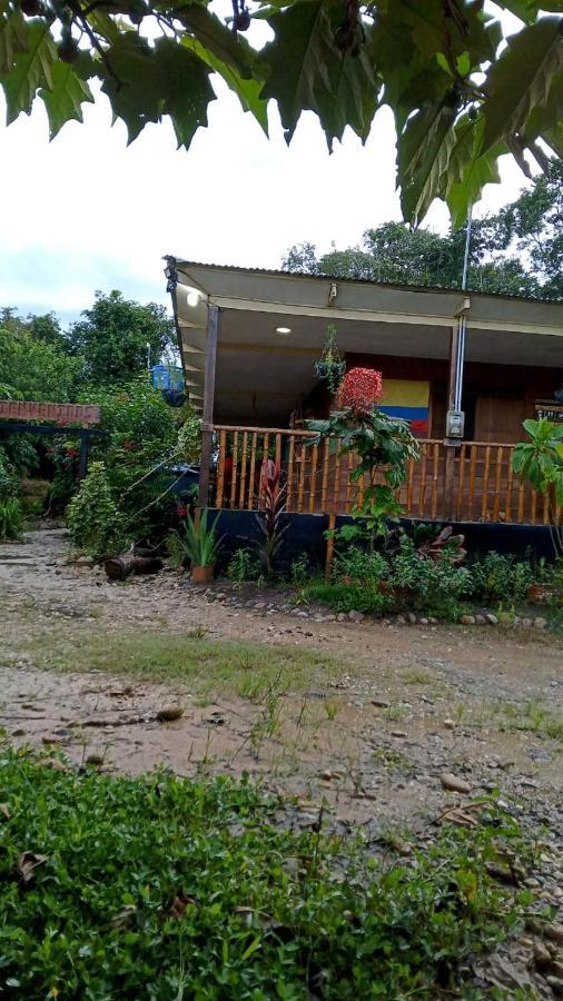 Hostal Cano Nevera La Macarena Exteriör bild